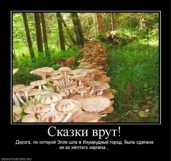 Грибы пошли прикол