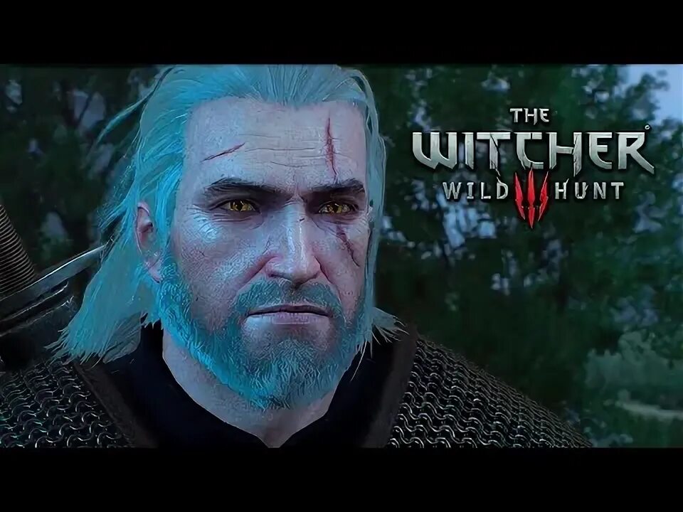 Почему ушел ведьмак. Сопряжение сфер Ведьмак. Эона Witcher of Realms во что одеть.