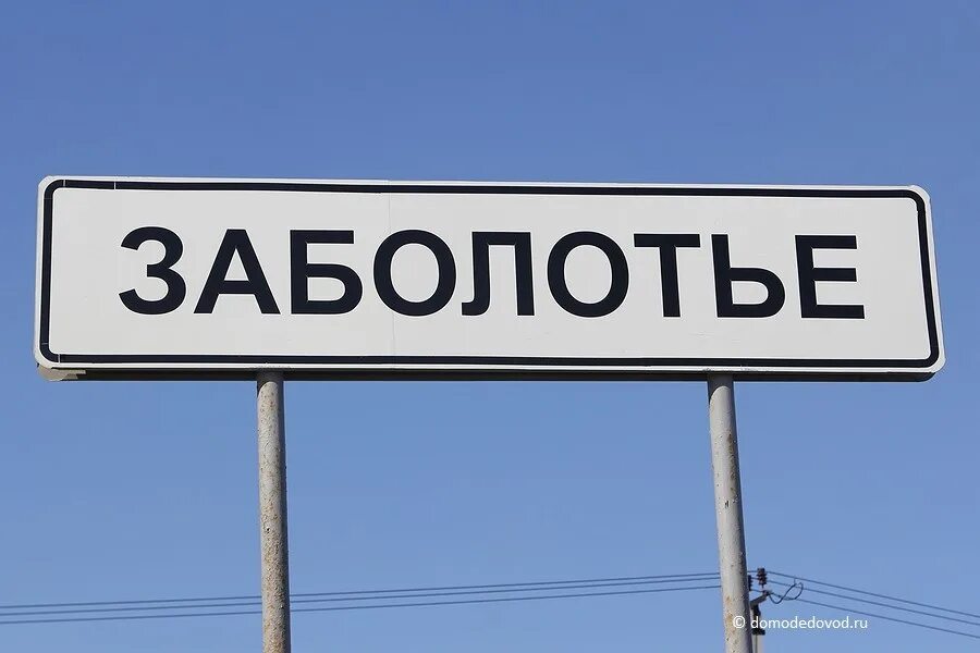 Вологодская область бабаевский район деревня заболотье. Деревня заболотье новгородская. Заболотье шишкин лес. Деревня заболотье нижегородской области. Домодедово деревня заболотье.