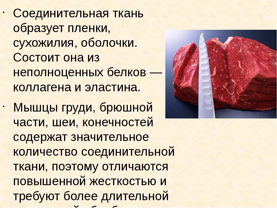 Мясо это простыми словами. Соединительная ткань говядины. Мясо говядины соединительная ткань.