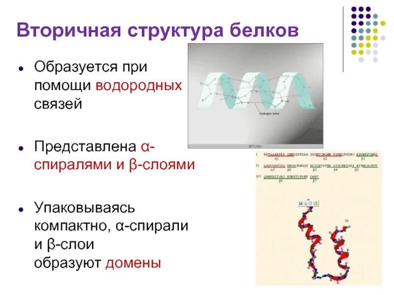 Вторичную структуру в основном поддерживают. Вторичную структуру в основном поддерживают