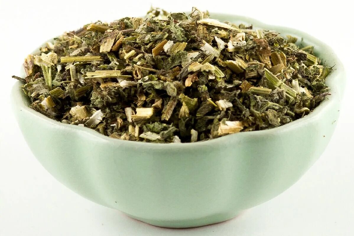 Сырье пустырника. Трава пустырника лрс. Пустырник сушеный. Трава пустырника сырье. Пустырник трава сушеная.