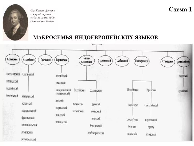 Схема индоевропейской языковой семьи. Индоевропейская языковая семья схема. Группа индоевропейских языков схема. Индоевропейская языковая семья таблица. Какие группы языков относятся к индоевропейской семье