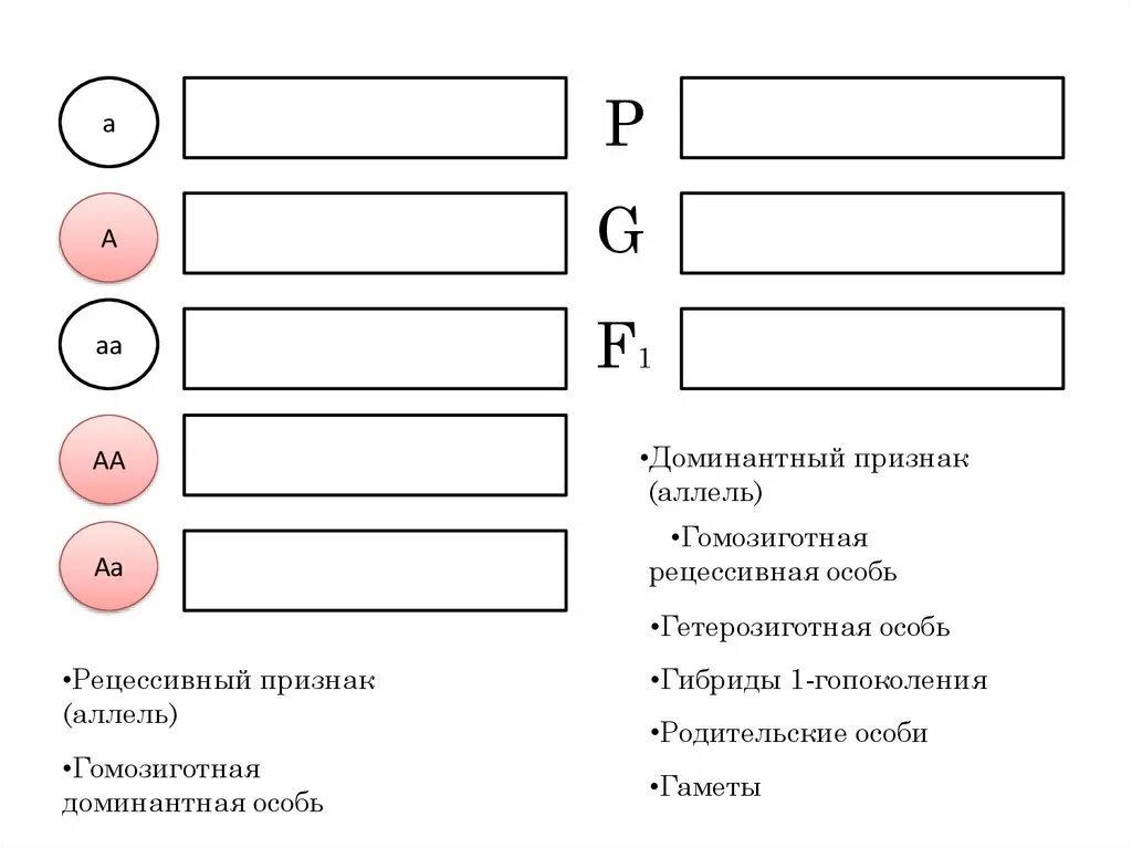 Гомозиготная рецессивная особь. Гомозиготная и гетерозиготная особь. Гомозиготная особь с доминантным признаком.. Рецессивный аллель. Гомозиготная особь с рецессивным признаком