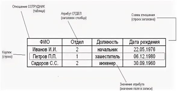 База данных ип