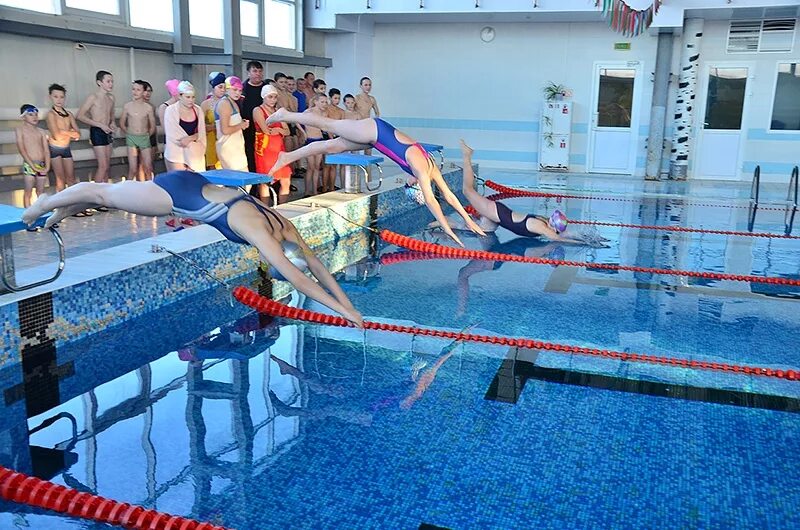 зелёный остров липецк триатлон. липецкий полумарафон 2021. липецк спорт. спортивные сайты липецка. спортивные сайты липецка.