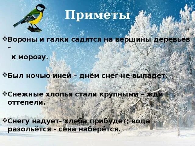 Приметы на зимнюю тему. Приметы зимы. Приметы для детей про зимующих птиц. Приметы зимующих птиц. Приметы наступления зимы.