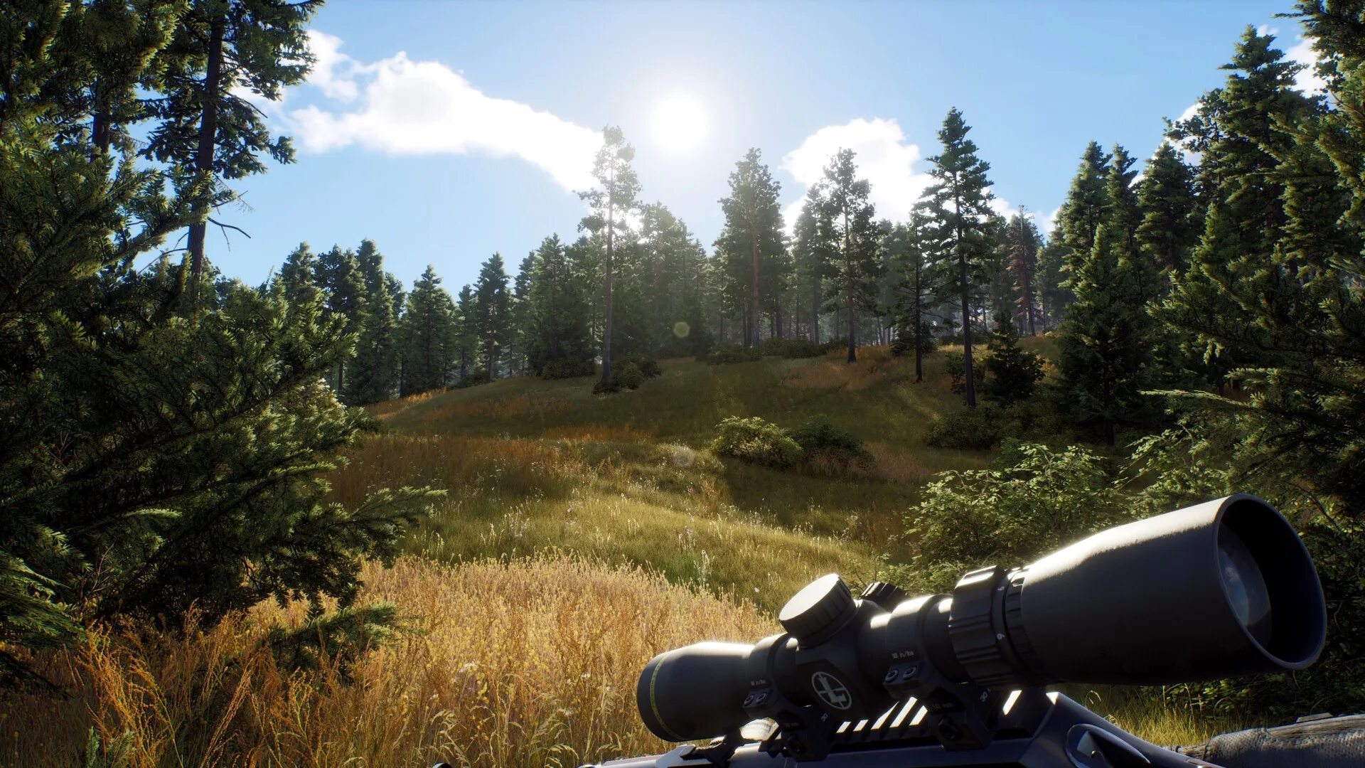 Way играть. Way of the hunter игра. way of the hunter геймплей. the hunter системные требования. way of the hunter системные требования.