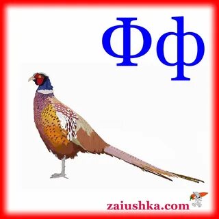 Животные на букву ф