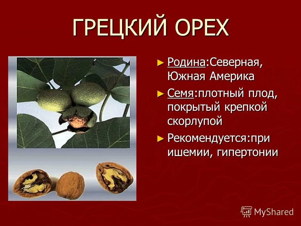 содержание йода в перегородках грецкого ореха. в орехах содержится железо. сколько йола солердится в грецких орехах. содержится ли йод в грецких орехах. варенье из грецких орехов зеленых.