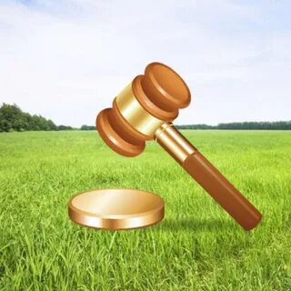 Провести аукцион по продаже земельных участков