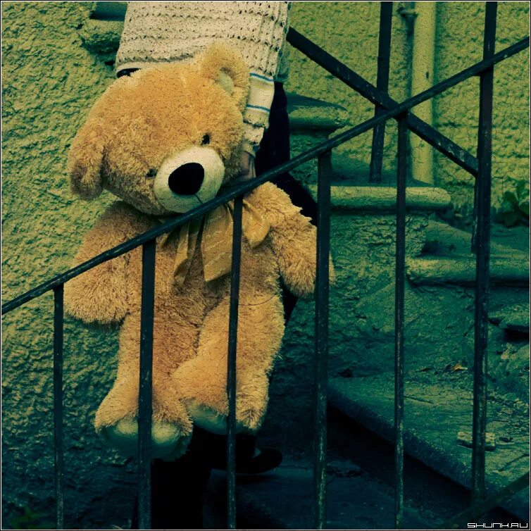 Брошенный медведь. Брошенный плюшевый мишка. Брошенный плюшевый мишка. Брошенный мишка. Брошенный мишка.