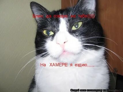 Не езжу или не ездию