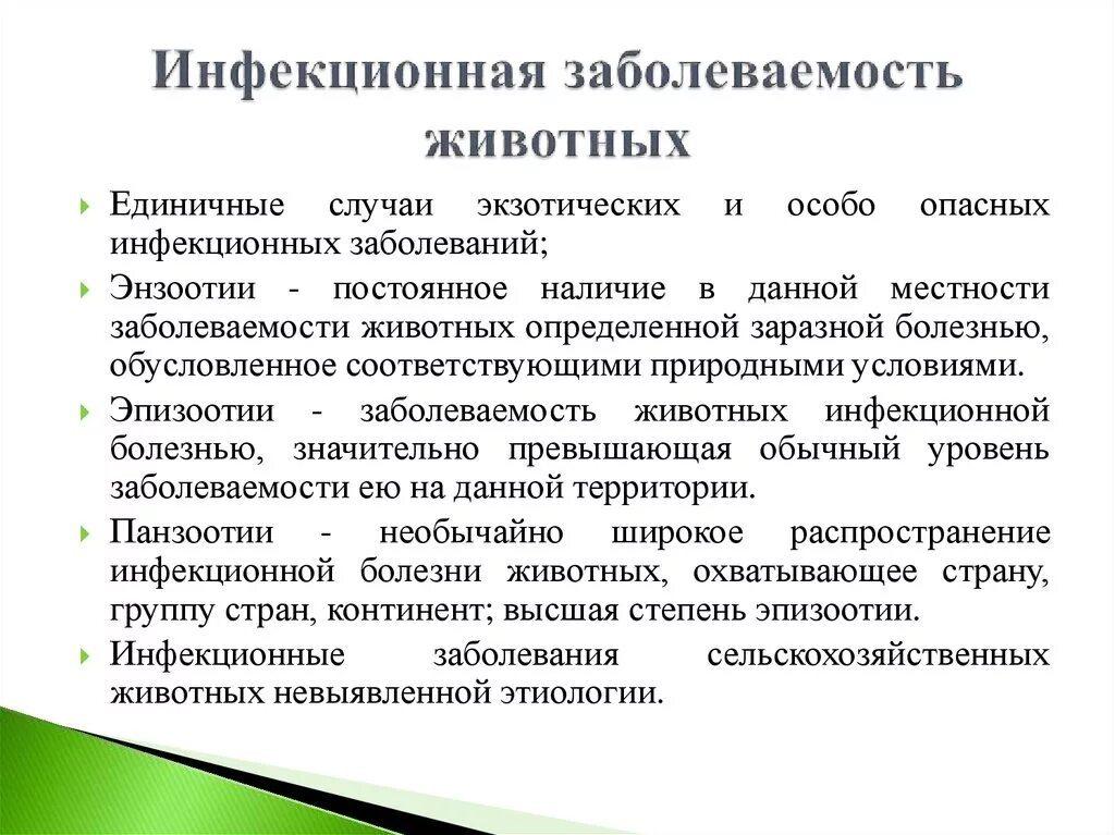 Заразные инфекционные заболевания. Виды инфекционных заболеваний животных. Профилактика инфекционных болезней. Профилактика инфекционных болезней животных. Инфекционная заболеваемость животных.