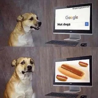 Hotdog Silly Dog Meme Picture.