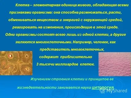 Клетка элементарная единица