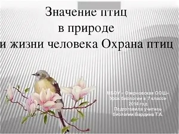 Значение птиц в жизни человека 8 класс. Птицы в жизни человека и природы. охрана птиц в природе. роль и значение птиц. значение и охрана птиц.