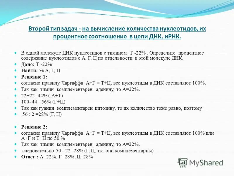 Сколько нуклеотидов включает фрагмент. Сколько нуклеотидов включает фрагмент