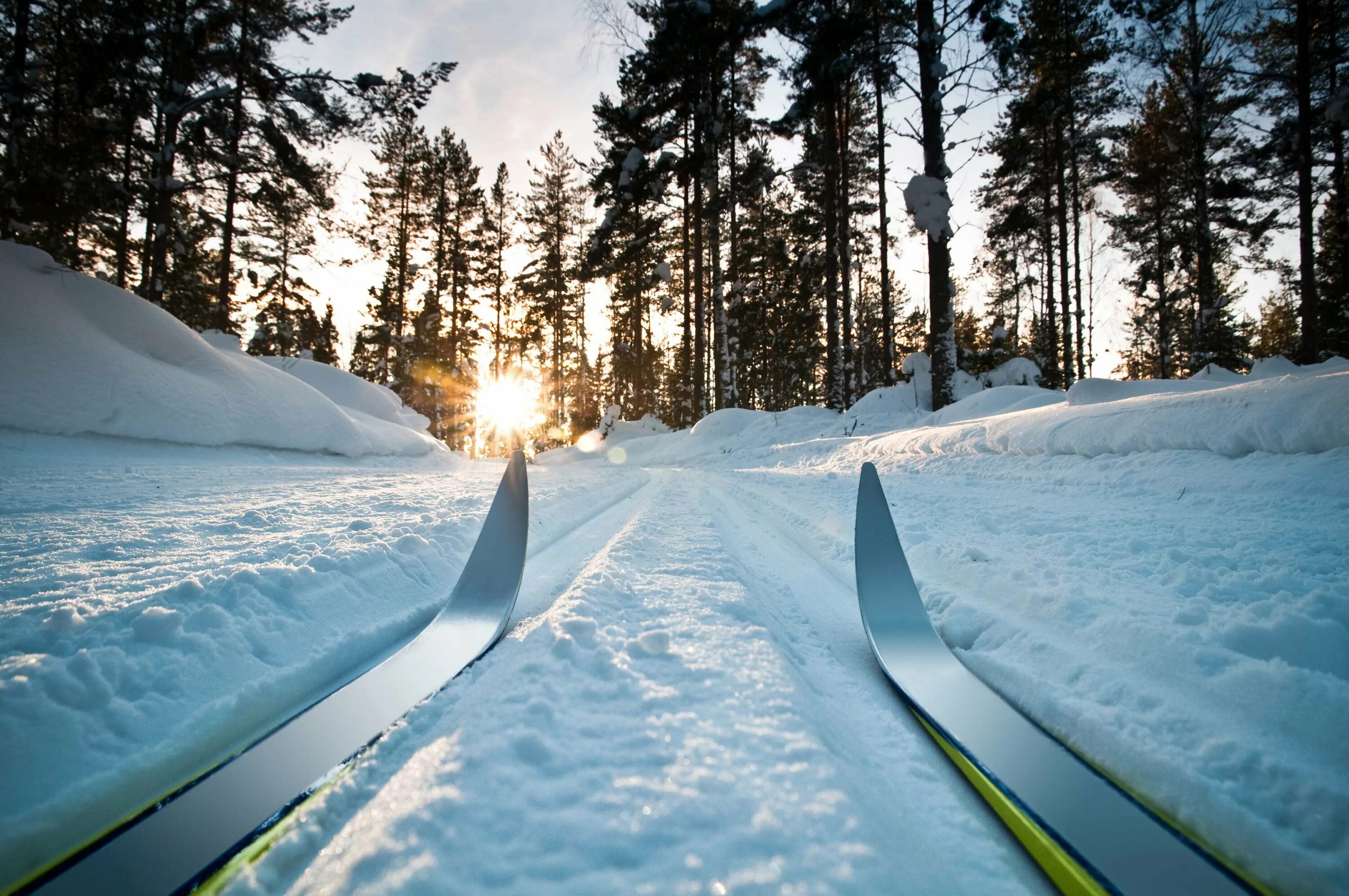 Skiing track. Лыжная база Усть-Кут. Лыжня в лесу. Зимний лес Лыжня. Лыжи зимой.