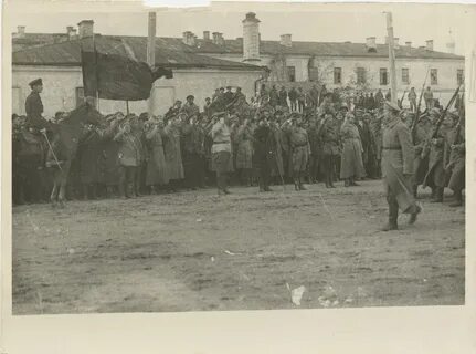 Ноябрь 1919