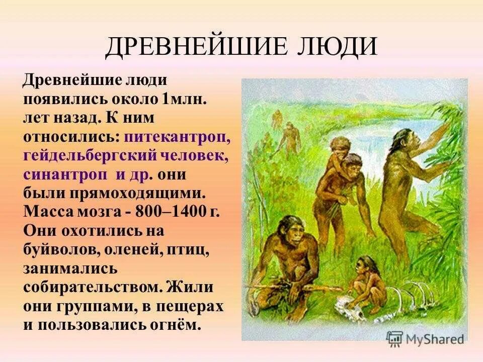 Истории о том как они