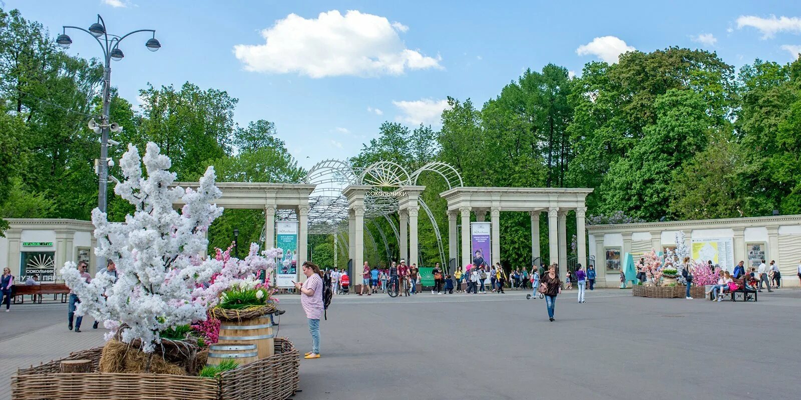 Группа московский парк. Парк Сокольники. В парке Сокольники. Москва парк Сокольники парк Сокольники. Парк Сокольники центральные.