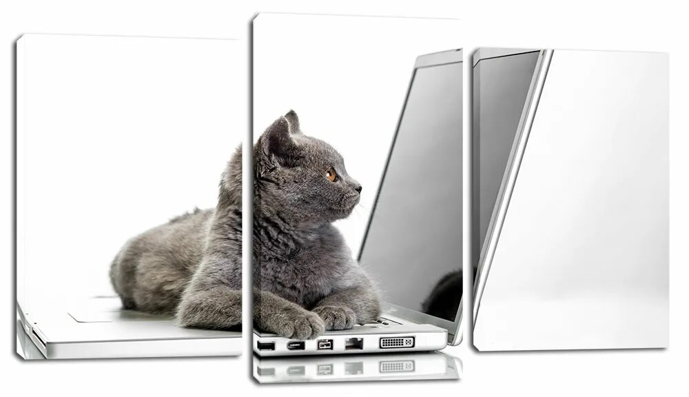 Offer php cat
