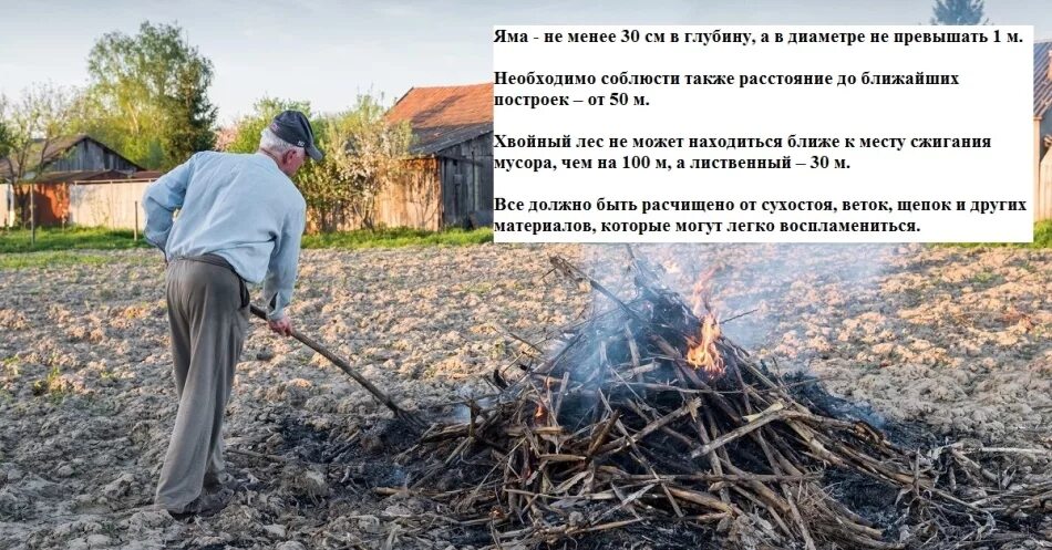 Можно ли сжечь растения. Жечь траву на участке.