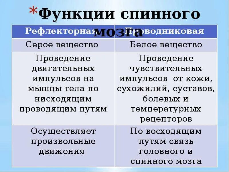 Каковы функции спинного. Строение и функции спинного мозга 8 класс. Проводниковая функция спинного мозга таблица. Функции спинного мозга рефлекторная и проводниковая таблица. Функции спинного мозга кратко таблица.