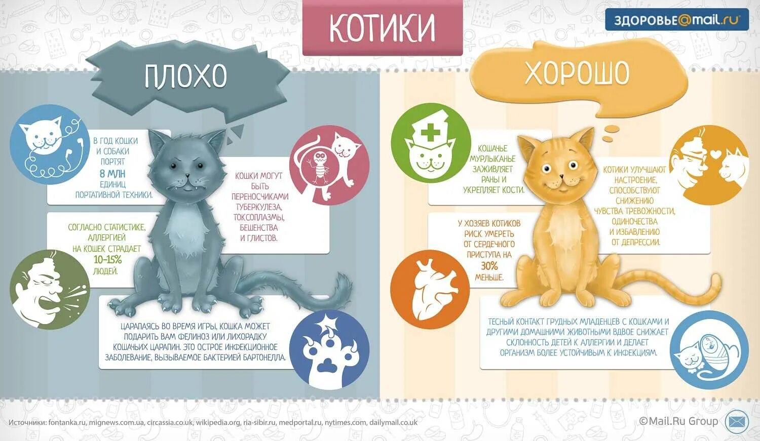 Как понять что кот заболел. Инфографика кошки. Плюсы и минусы кошек. Инфографика про животных. Инфографика о котах.