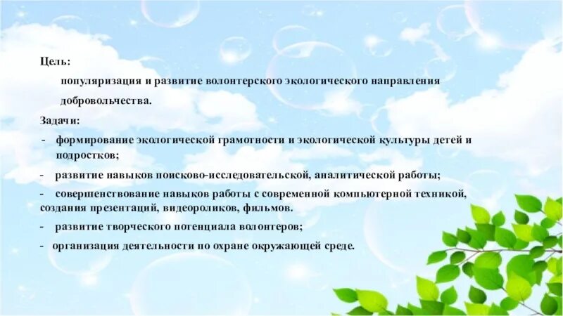 Программы социально экологической направленности