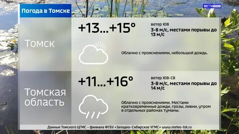 Облачно и до +15: о погоде в Томске в понедельник. 