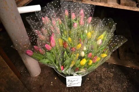 Пятерочка букеты