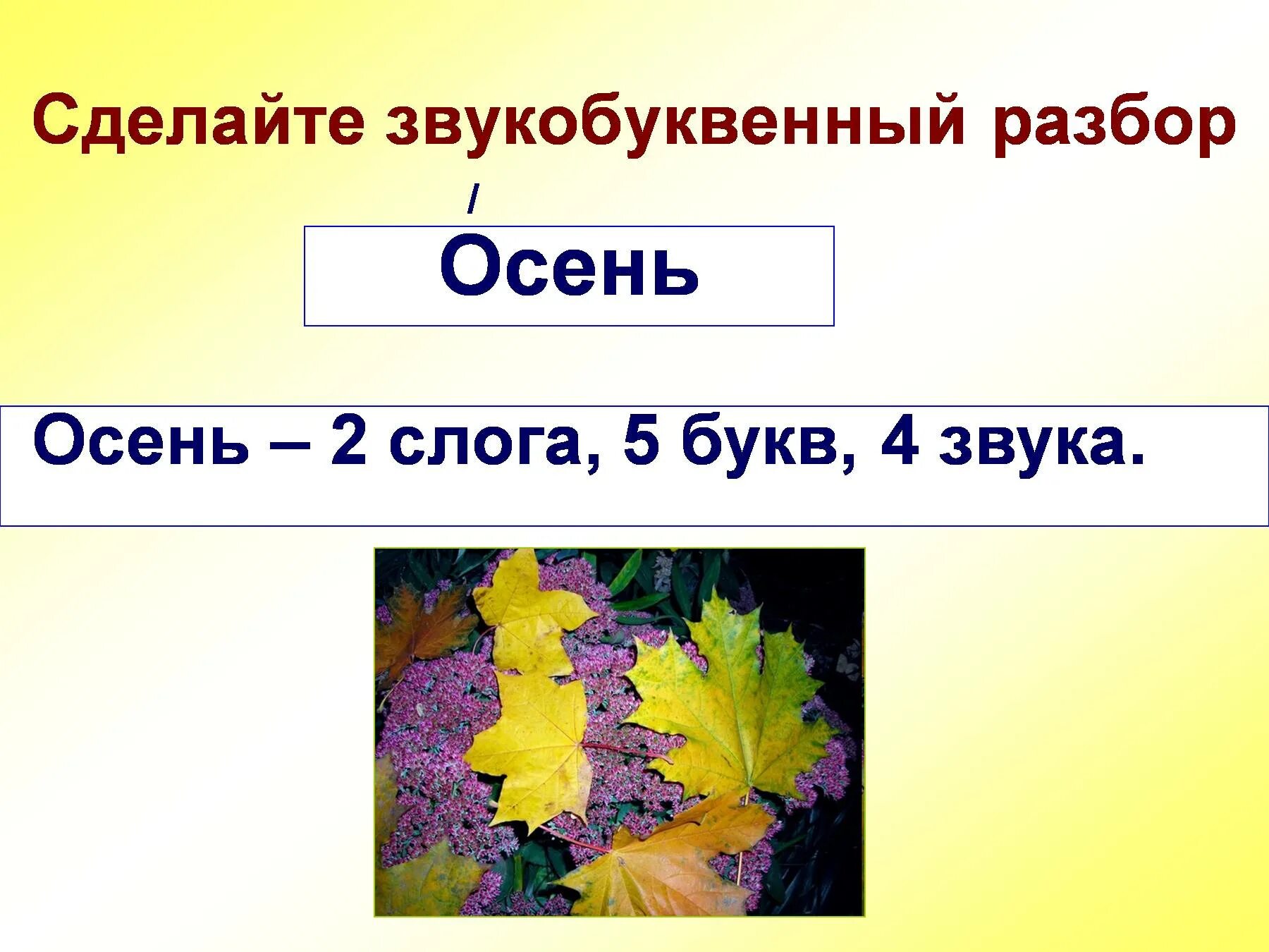 Разбор слова осень. Звуковой анализ осень. Разбор слова осенью. Звукобуквенный разбор слова осень. Сколько букв и звуков в слове осенью