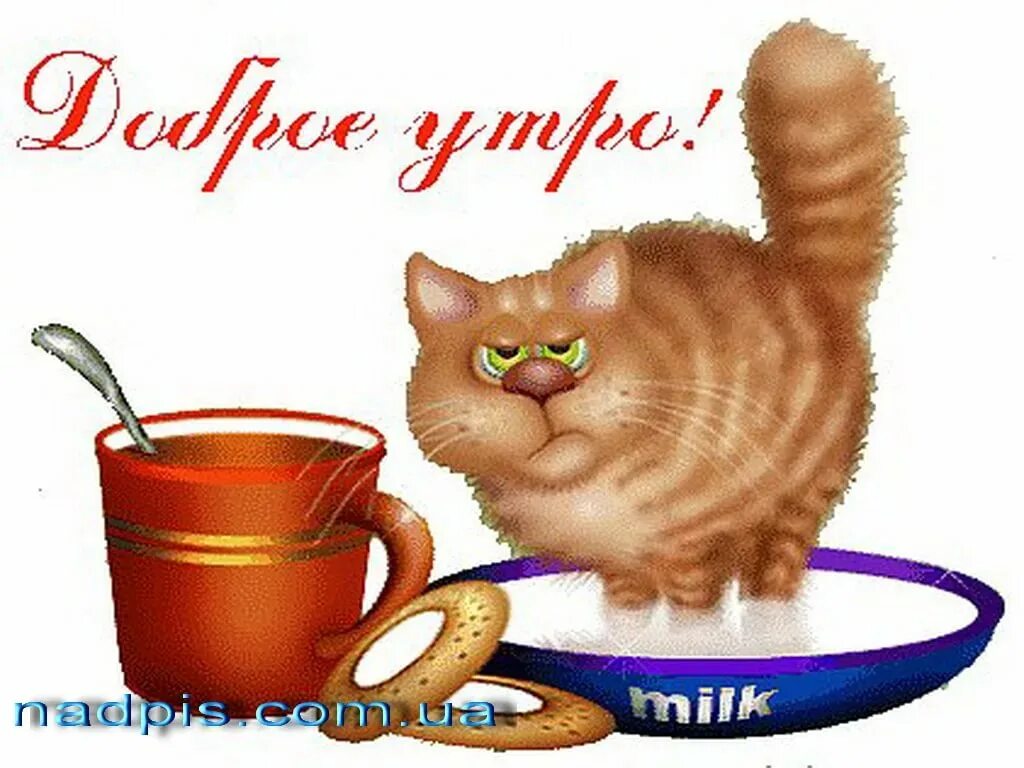 Анимашки доброго утра смешные