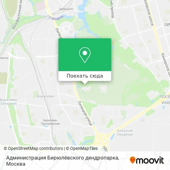 Расписание автобусов 921 бирюлево царицыно