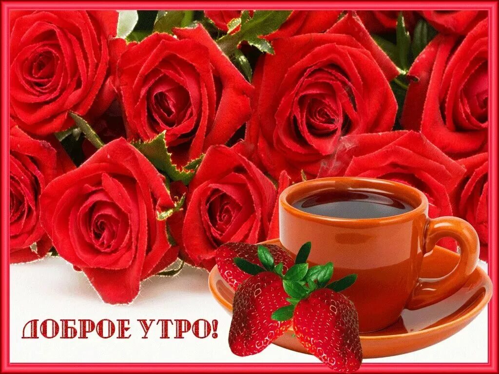 Доброе утро девушке картинки цветы. Доброе утро цветы. открытки доброе утро. доброе утро розы. цветы с добрым утром для женщины.