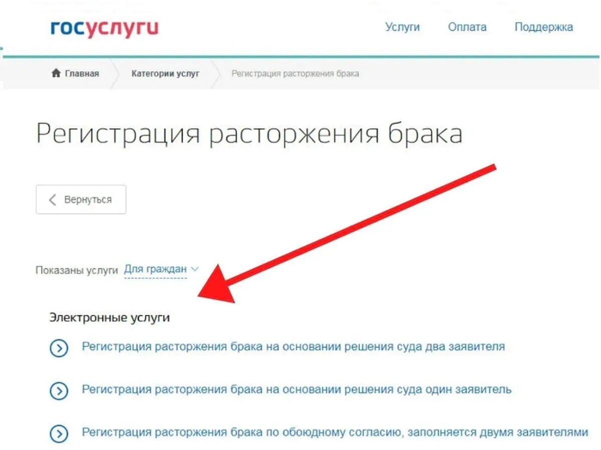 Заявление о расторжении брака через госуслуги. Заявление о расторжении брака госуслуги. Подача заявления на госуслугах на развод. Как на госуслугах подать заявление о расторжении брака. Заявление на развод на госуслугах.