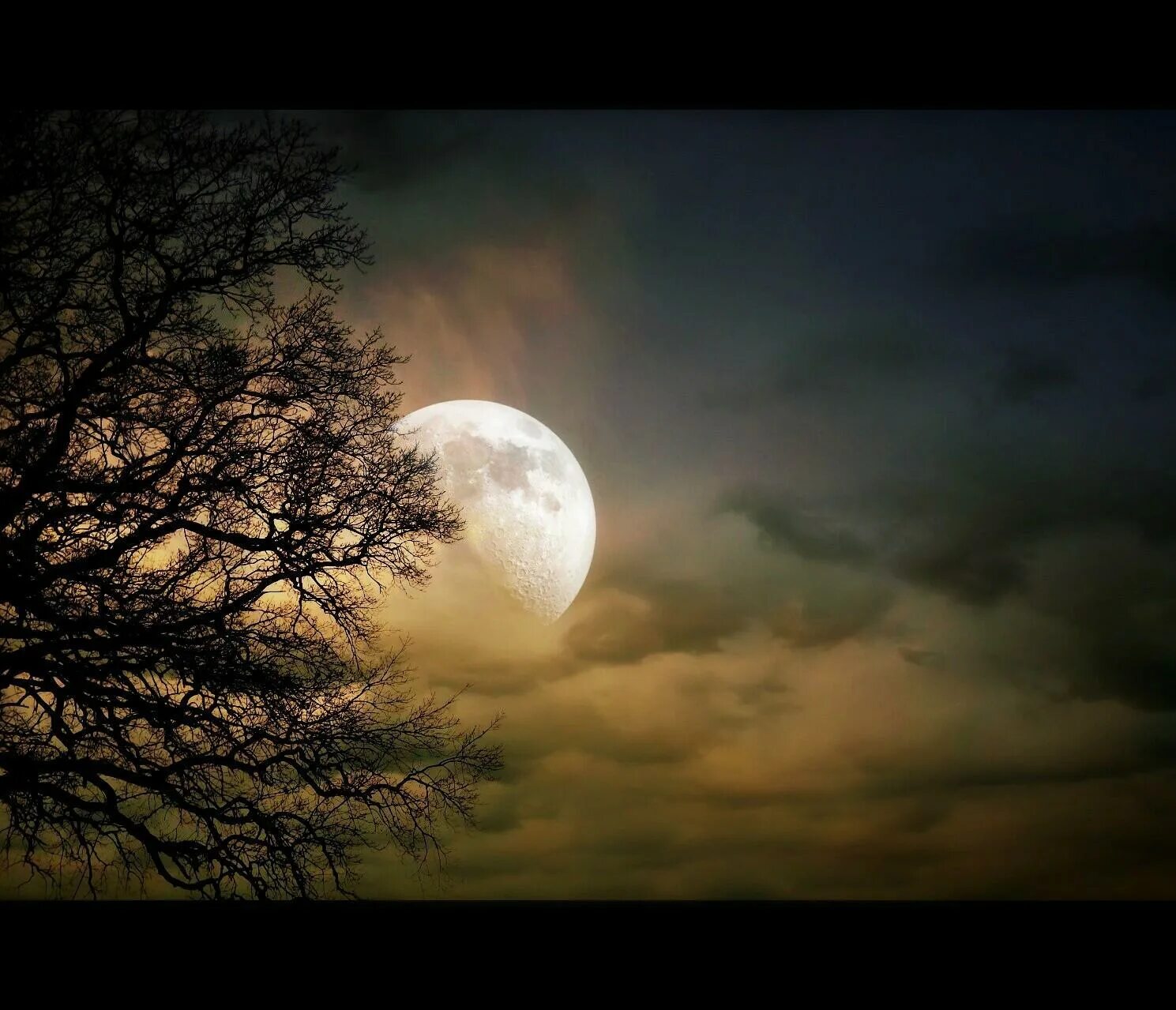 Полнолуние сильный. Луна в облаках. Полнолуние. Лунная ночь. Красивая Луна.