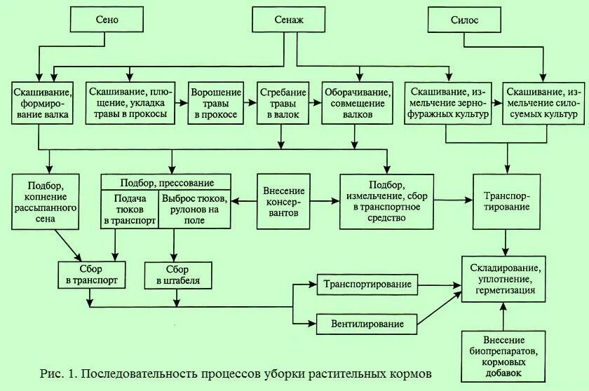 Какие основные способы подготовки кормов. Технологическая схема заготовки силоса. Технологическая схема заготовки силоса таблица. Технологическая схема заготовки сенажа. Технология заготовки силоса таблица.