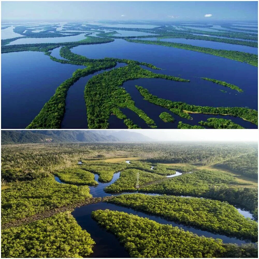 Южная Америка река Амазонка. Исток реки Амазонка. Южная Америка река Укаяли. Устье реки Амазонка.
