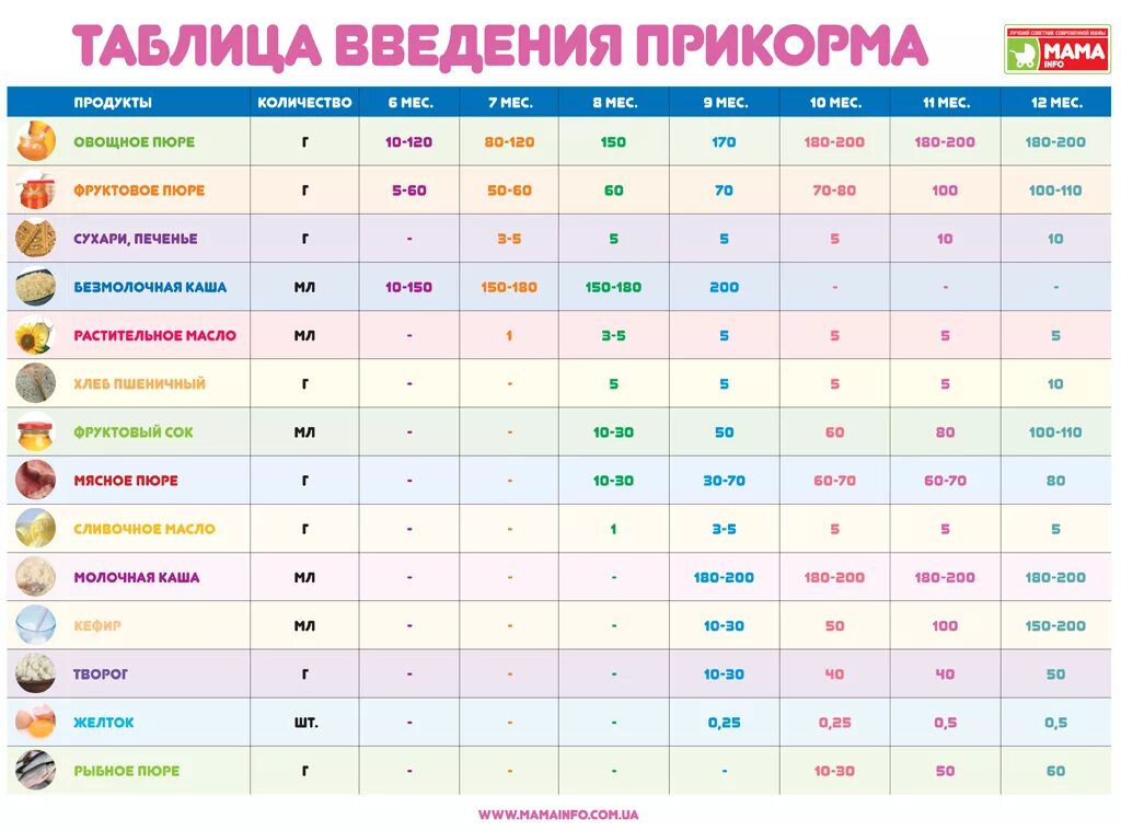 Сколько должен есть в 6 месяцев