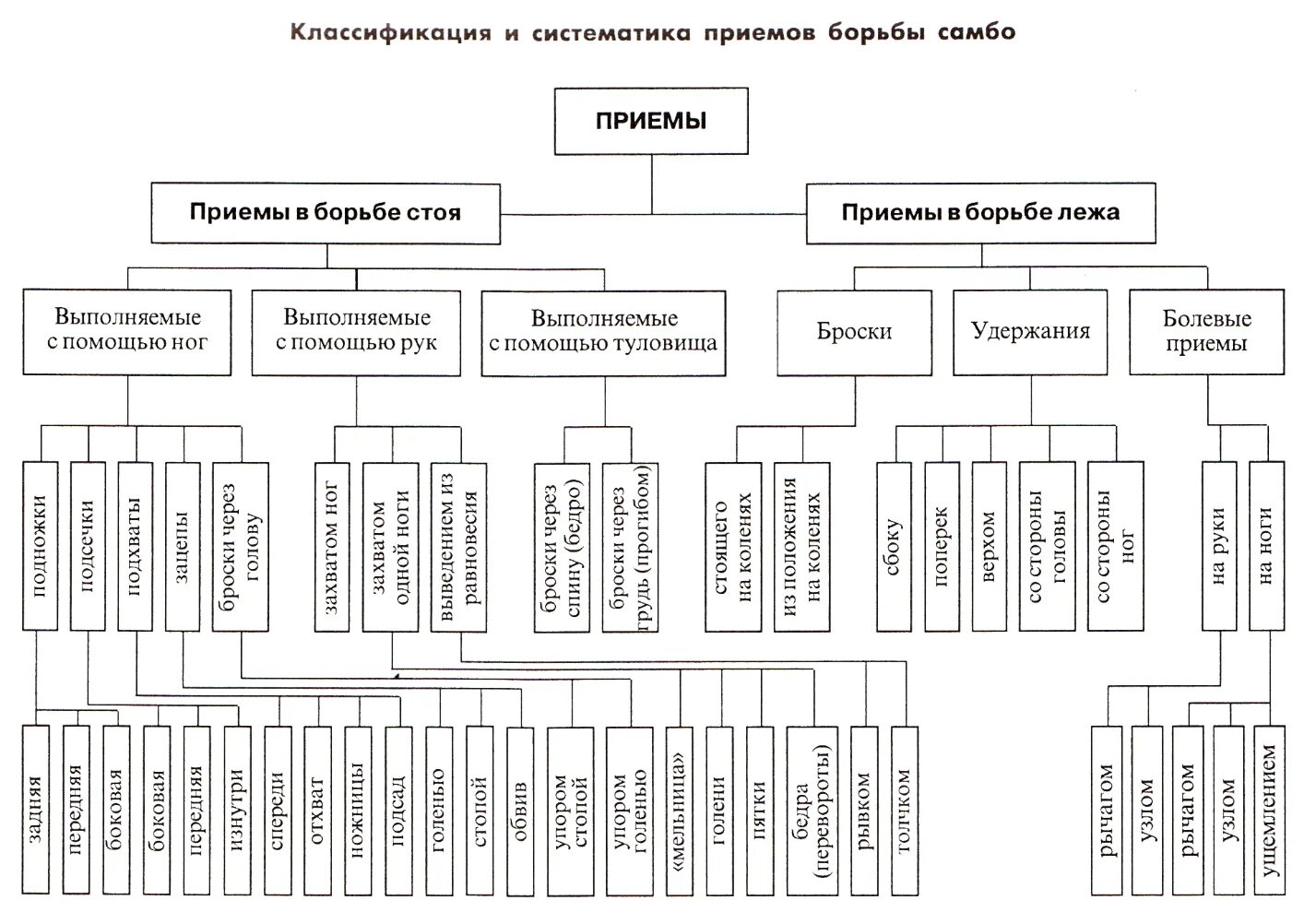 Классификация приемов самбо. Техника борьбы самбо классификация. Классификация бросков в самбо. Классификация приемов в борьбе.