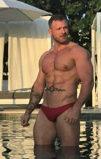 Austin wolf