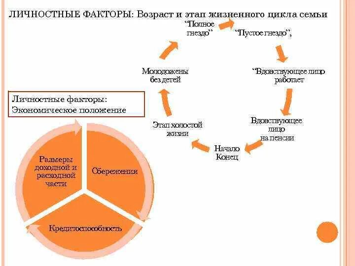 Жизненный цикл в психологии. Этапы жизненного цикла семьи. Возраст и этап жизненного цикла семьи. Жизненный цикл семьи стадии жизненного цикла семьи. Семейные этапы жизненного цикла.