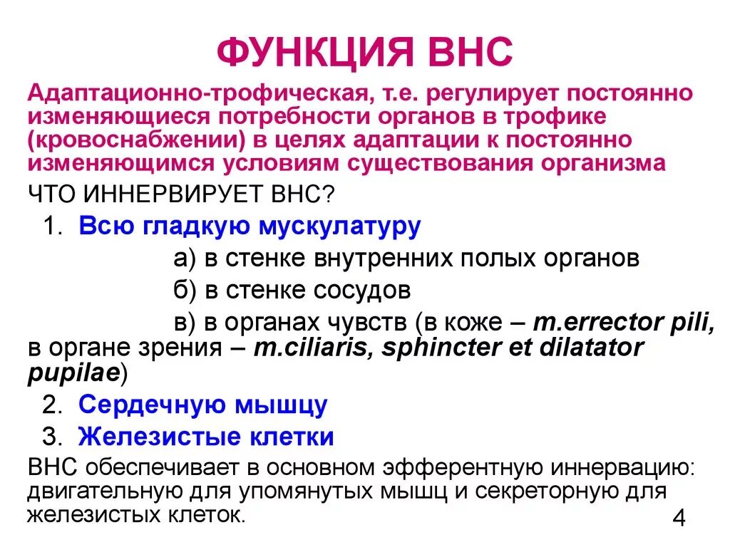 Адаптационно-трофическая функция ВНС. Трофическая функция ВНС. Функции вегетативной нервной системы. Функции ВНС. Функции высшей нервной системы