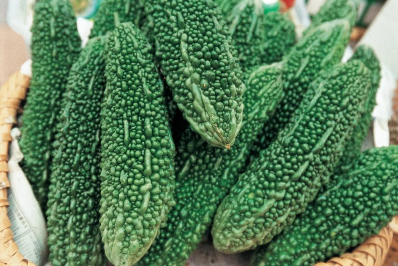 Видеть во сне огурцы свежие зеленые женщине. Cucumber тайский огурец. Огурцы пупырчатые сорта. Овощ зеленый в пупырышках. Зеленый овощ длинный.