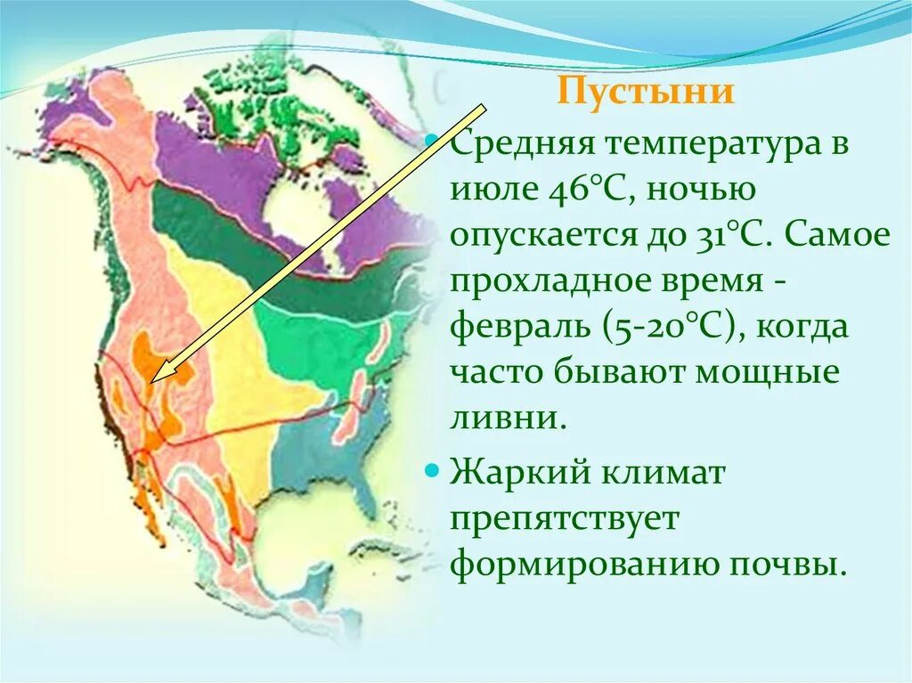 Природные зоны северной америки презентация 7 класс