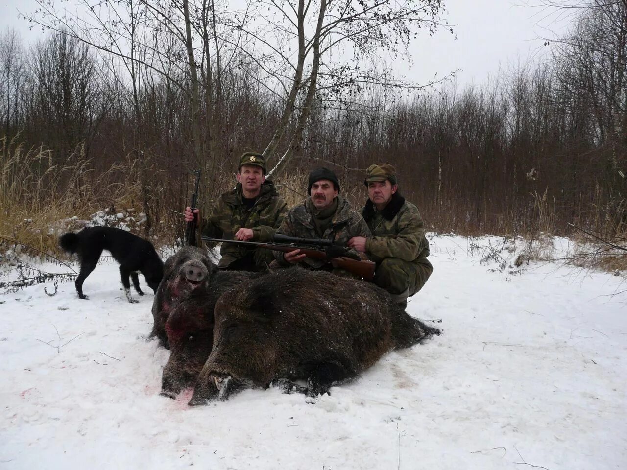 Охотхозяйство касплянское смоленск. Охотхозяйство касплянское смоленск. Охотхозяйство смоленской. Охотхозяйство смоленской. Охотхозяйство в смоленской области.