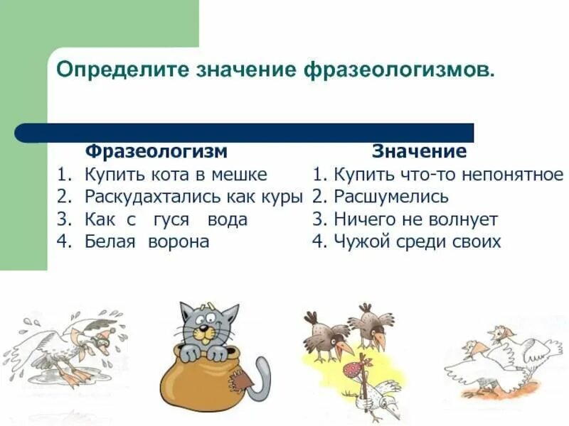 Запишите два фразеологизма. Фразеологизмы про животных. 5 Фразеологизмов о животных. Фразеологизмы о животных 4 класс. Фразеологизмы в которых упоминаются животные.